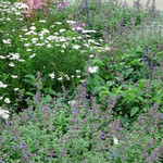 赤倉観光ホテル カフェテラス - 暫し、観察・・♡