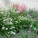 赤倉観光ホテル カフェテラス - 蝶々がたくさん舞っています