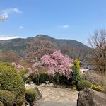 Cafe Pic - '25/04/12 下方向