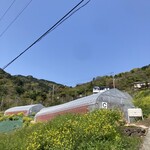 まるやま園 - Cのハウス4人で貸切