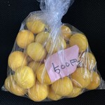 まるやま園 - 超お得湘南ゴールド