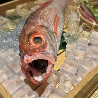 のどぐろ専門 銀座 中俣 - 