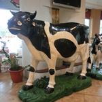 高雄牛乳大王 - 店内の牛ﾁｬﾝ