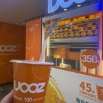 IJOOZ - 