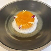 Noeud.×THE CHEF'S - 