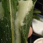 清龍酒造 - ちまき