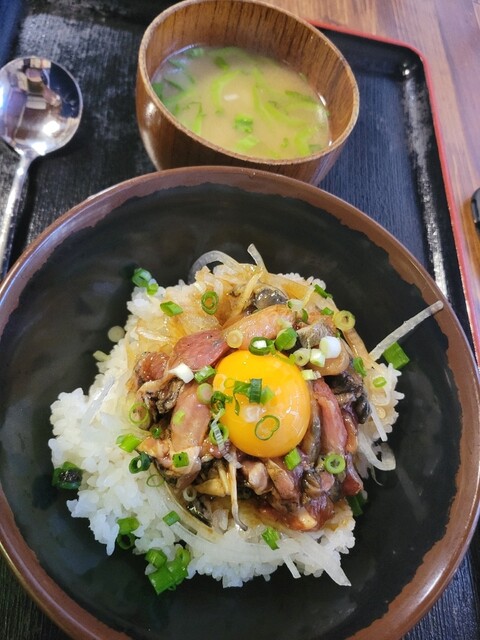 Toyono Akari Suzunone