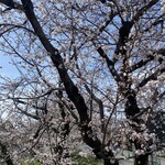 貝出汁ラーめんクラム - 