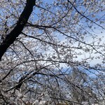 貝出汁ラーめんクラム - 