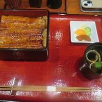 菊水楼 うな菊 ホテル椿山荘東京店 - 鰻重一尾