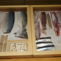 ながり鮨 錬 - 