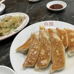 白雅 - 焼餃子
