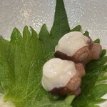 湯島天神下 すし初 - 