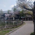 中華ソバ 伊吹 - 