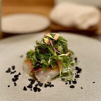 ARMONICO - 