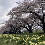 大沢温泉 山水閣 - 