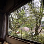 渓流 - 窓からの景色がごちそう