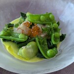 イルフェボウ - 