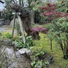 行善寺 やぶそば - 