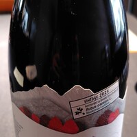 セルサルサーレ - 