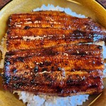 江戸屋うなぎ店 - 国産特上