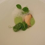 アルシミスト - 