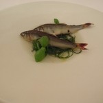 アルシミスト - 稚鮎　トマト　バジル