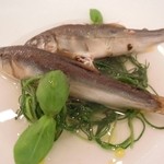 アルシミスト - 稚鮎　トマト　バジル