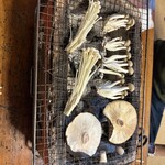 お山のたいしょう - 