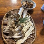 お山のたいしょう - 