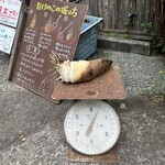 お山のたいしょう - 