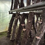 お山のたいしょう - 