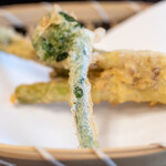 よし町 - 2025.4 うどとこごみ