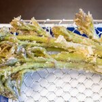 よし町 - 2025.4 特Sサイズのタラの芽