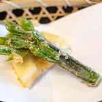 よし町 - 2025.4 筍とコシアブラ