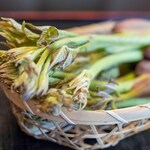 よし町 - 2025.4 特Sサイズのタラの芽