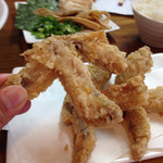 讃州手打ちうどん 我龍 - 食べやすっ手羽