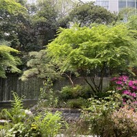 グランカフェ - 