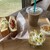 Cafe BOARD WALK - 料理写真:モーニングのAセット。ドリンクはアイスカフェオレを選択。