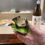 先斗町 藤わら - 