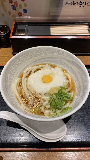 udonyaさん返金 Udonya San - Shin Takashima/Udon (Wheat