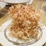 295870101 - にゃんこ三昧