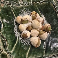 八お野 - 