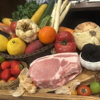 オッジ ダルマット 西麻布店 - 
