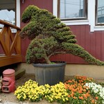 アイス工房メーリア - 