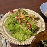 焼肉 辛元 - 辛元サラダのハーフ　ハーフでも充分だと思います