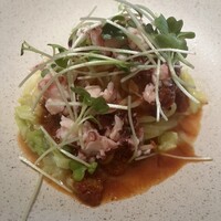 SCALAE - 