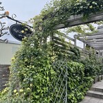 カフェ・ル・マシャオン - 