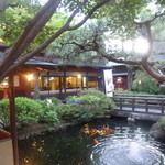 Toufuya Ukai - 趣のある庭園。　池にはたくさんの鯉が泳いでいます