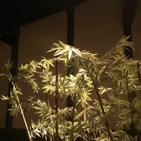 かんてきや 要 - 